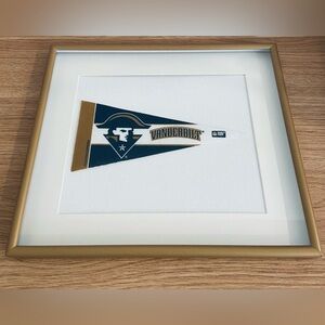 College/University Pennant Flags Framed 11x13